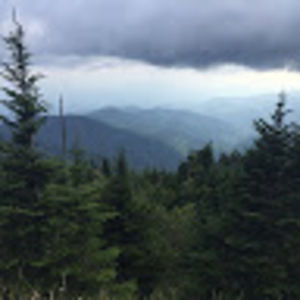 Meet your Posher, Jack